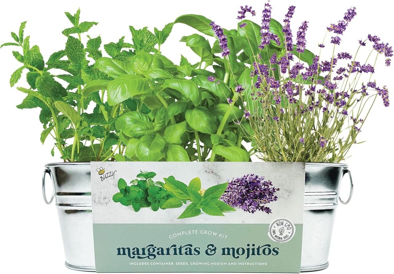Seeds Margarita & Mojito Windowsill Garden Grow Kit | Herb, Plant, Flower Starter Kit for Kids & Adults | Guaranteed to Grow | Best Indoor Grow Your Own Plant Gardening Gift